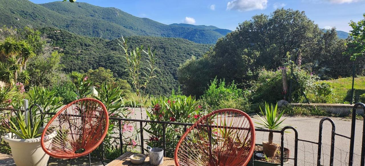 Ferienhaus U Casedu Di Ghjuvani *